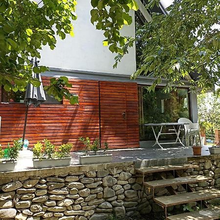 Woodland Paradise Gabala Bagian luar foto