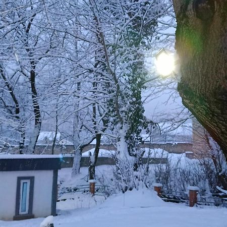 Woodland Paradise Gabala Bagian luar foto