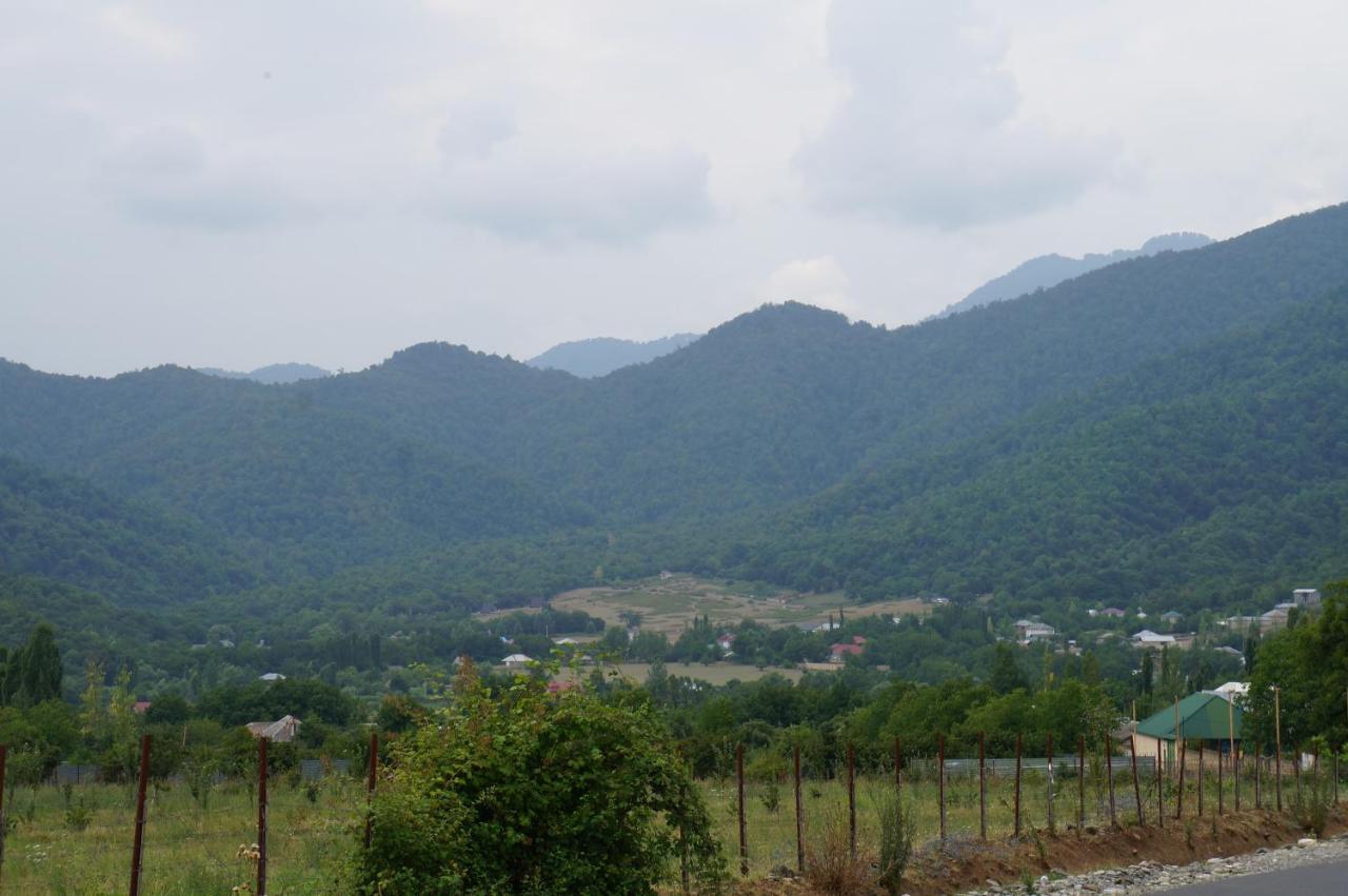 Woodland Paradise Gabala Bagian luar foto