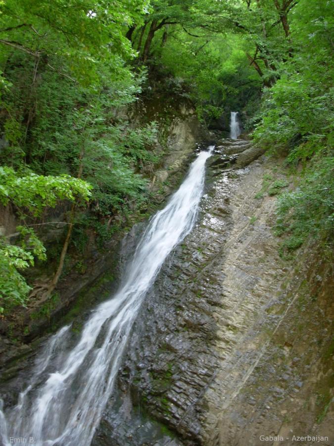 Woodland Paradise Gabala Bagian luar foto