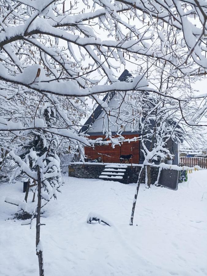 Woodland Paradise Gabala Bagian luar foto