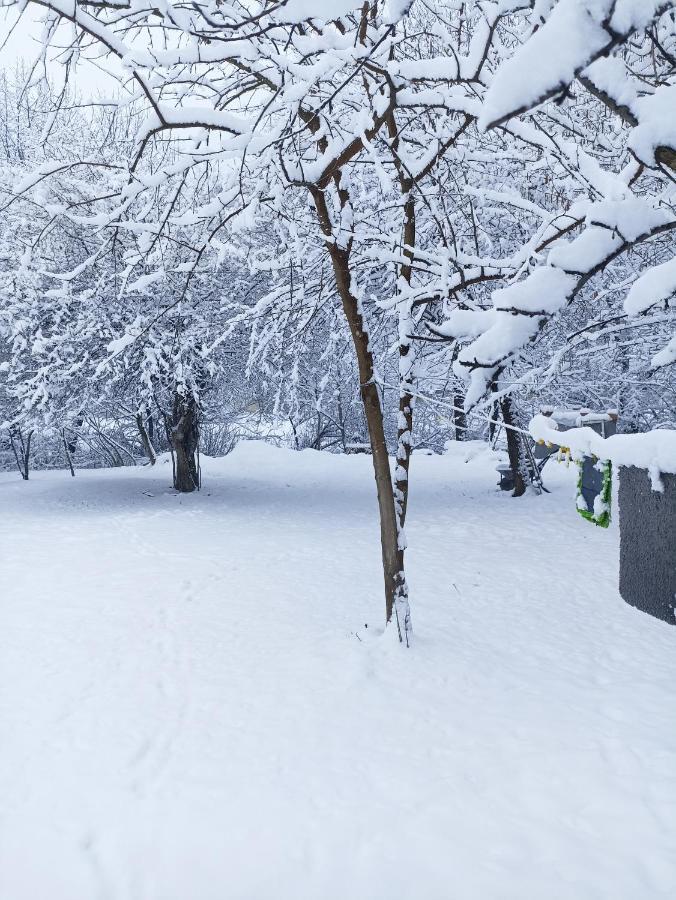 Woodland Paradise Gabala Bagian luar foto