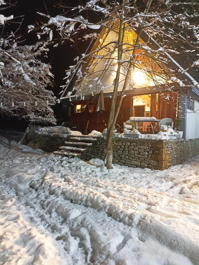 Woodland Paradise Gabala Bagian luar foto