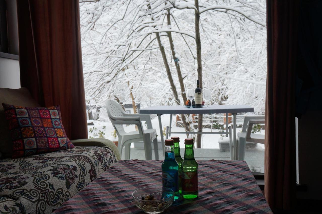 Woodland Paradise Gabala Bagian luar foto