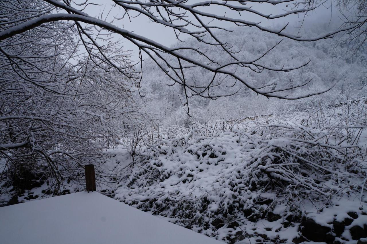 Woodland Paradise Gabala Bagian luar foto