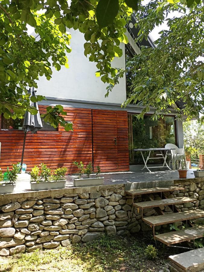 Woodland Paradise Gabala Bagian luar foto