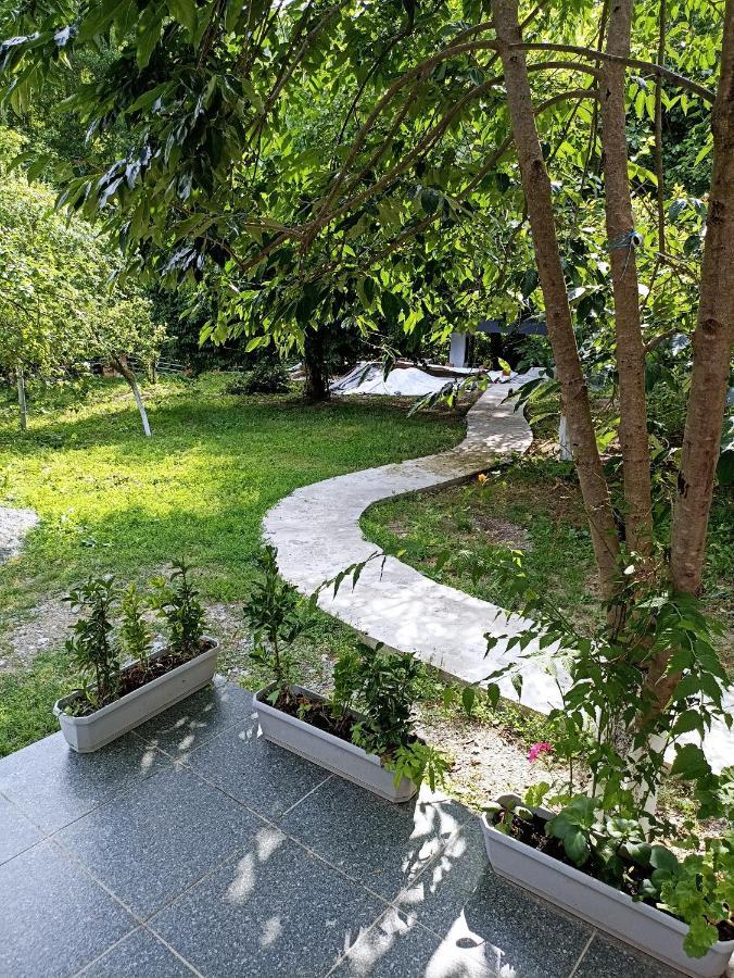 Woodland Paradise Gabala Bagian luar foto